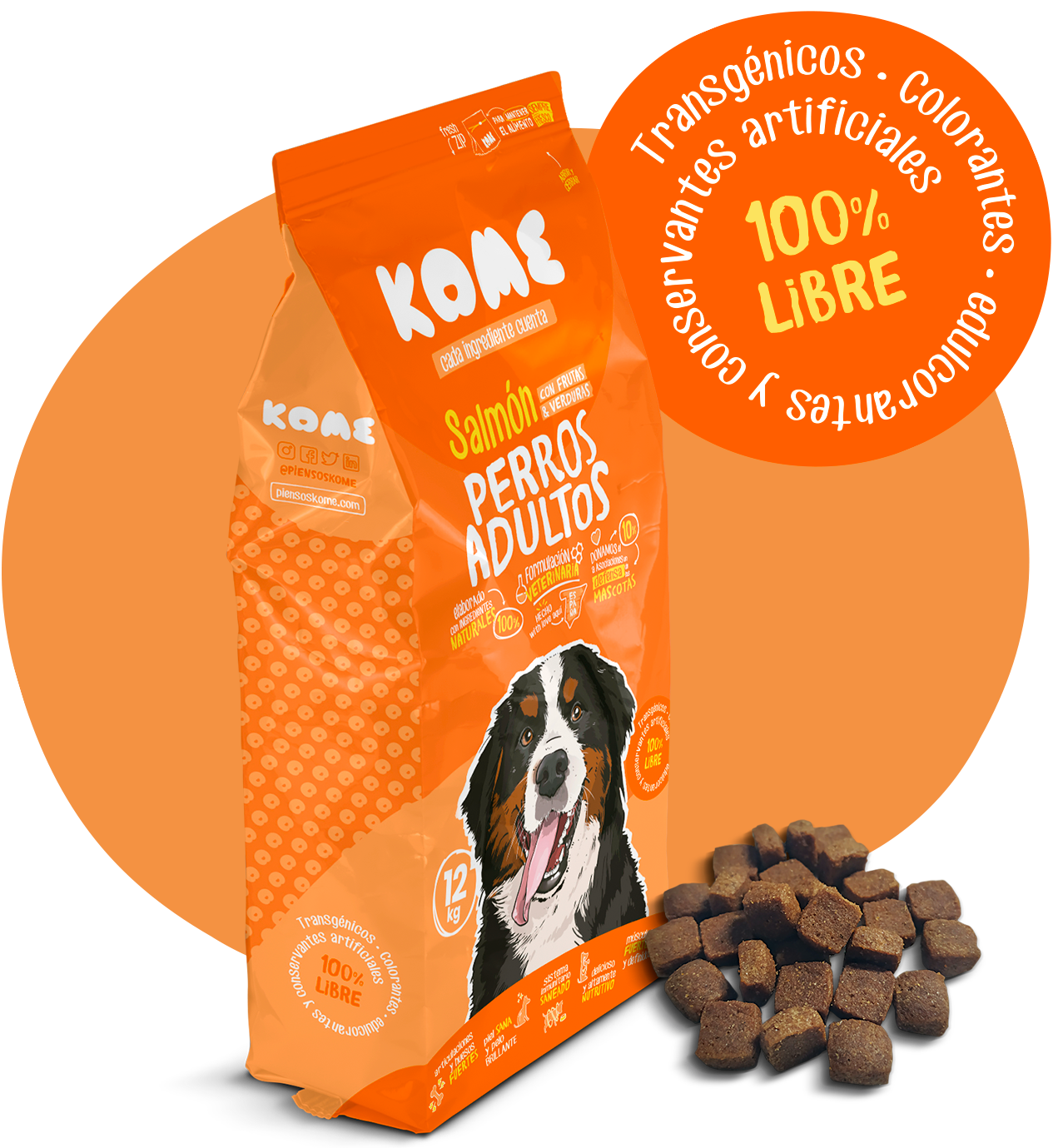 Pienso para Perros Adultos con Salmón, Frutas y Verduras